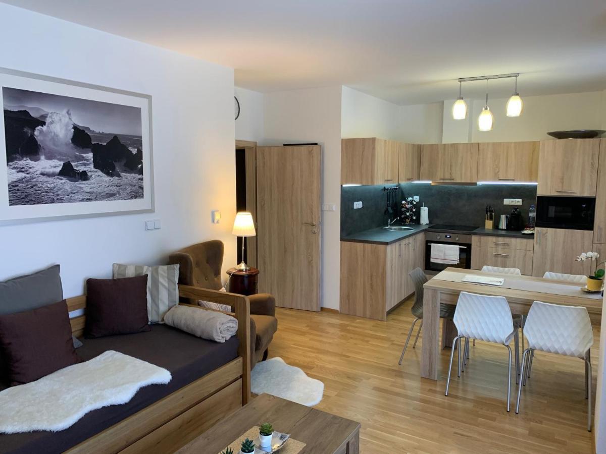 Apartment Rezidence - Javor & Wellness Železná Ruda エクステリア 写真