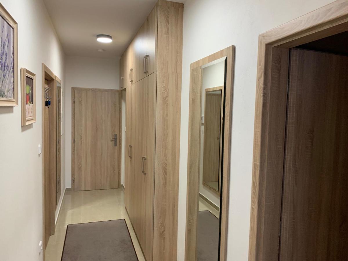 Apartment Rezidence - Javor & Wellness Železná Ruda エクステリア 写真