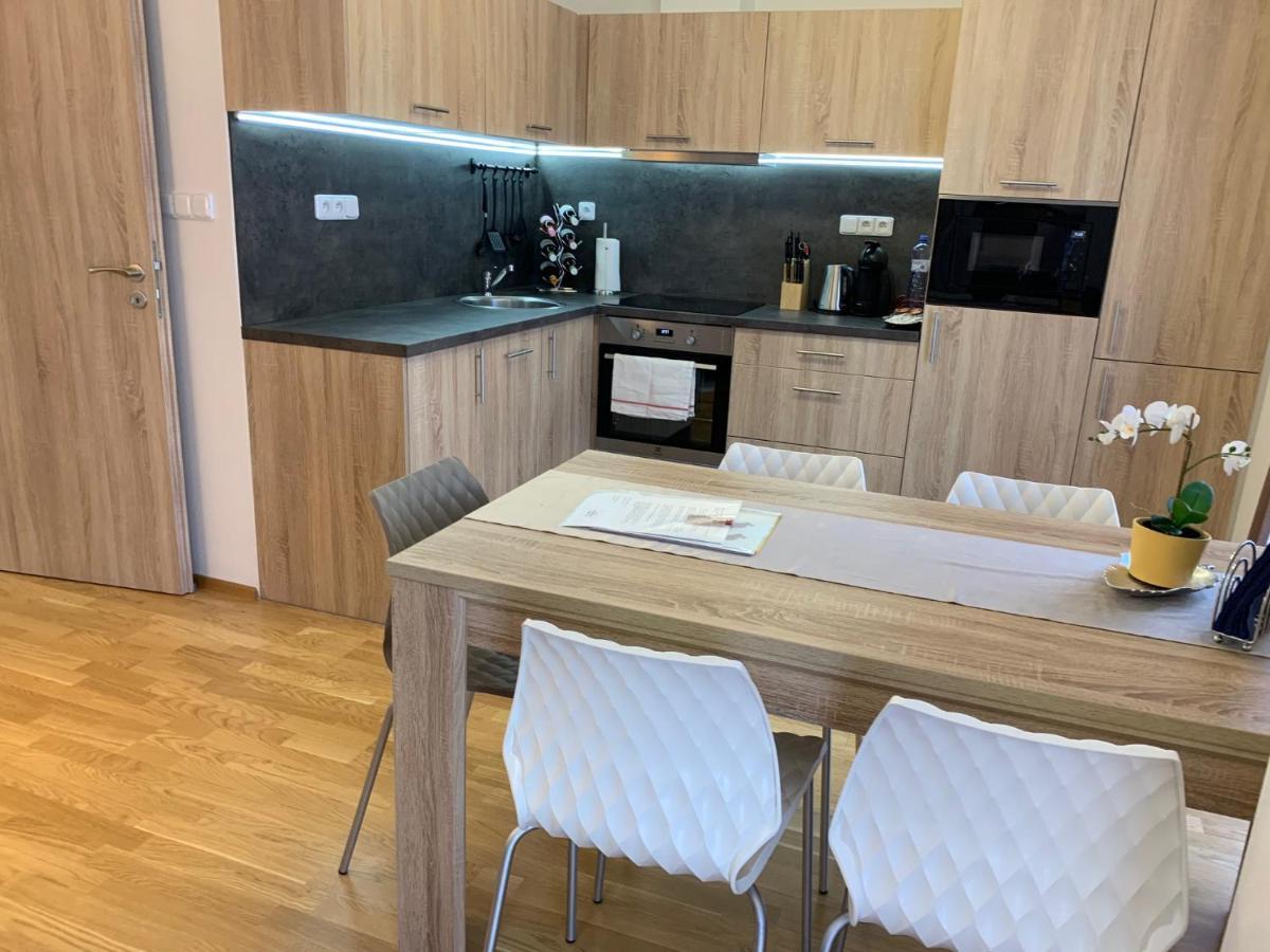 Apartment Rezidence - Javor & Wellness Železná Ruda エクステリア 写真