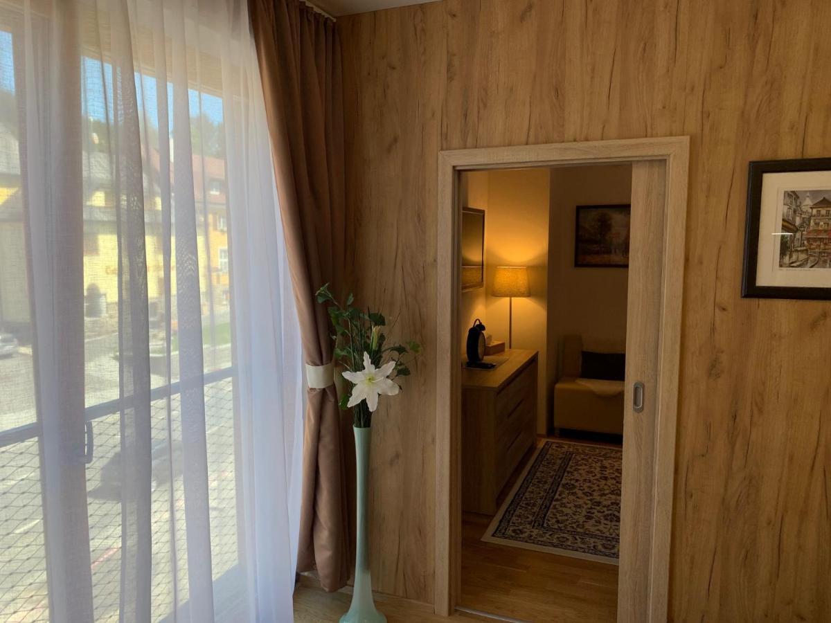 Apartment Rezidence - Javor & Wellness Železná Ruda エクステリア 写真