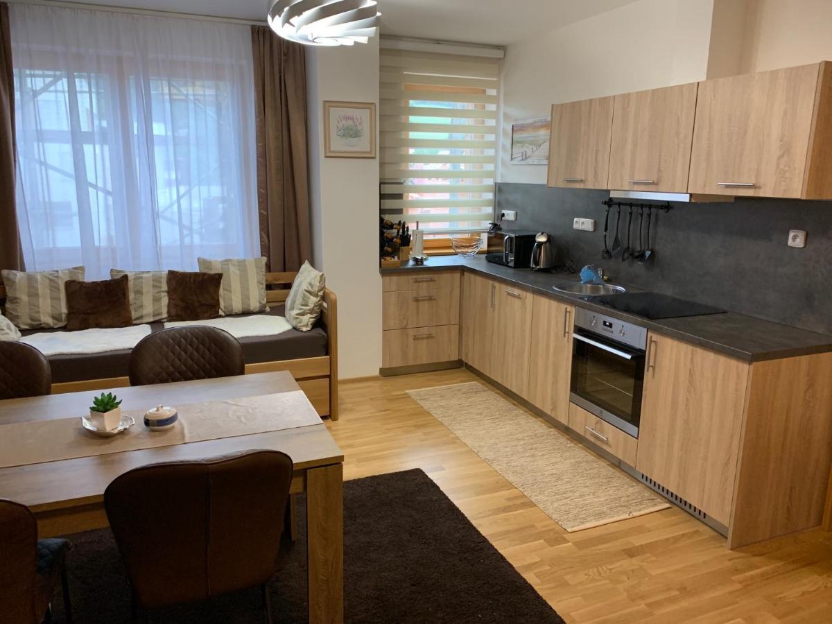 Apartment Rezidence - Javor & Wellness Železná Ruda エクステリア 写真