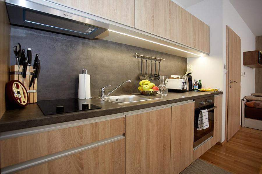 Apartment Rezidence - Javor & Wellness Železná Ruda エクステリア 写真
